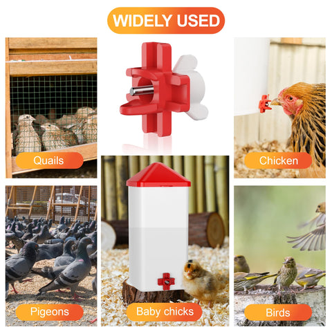 ZenxyHoC universal poultry solution showing compatibility with chickens, ducks, quail and geese
