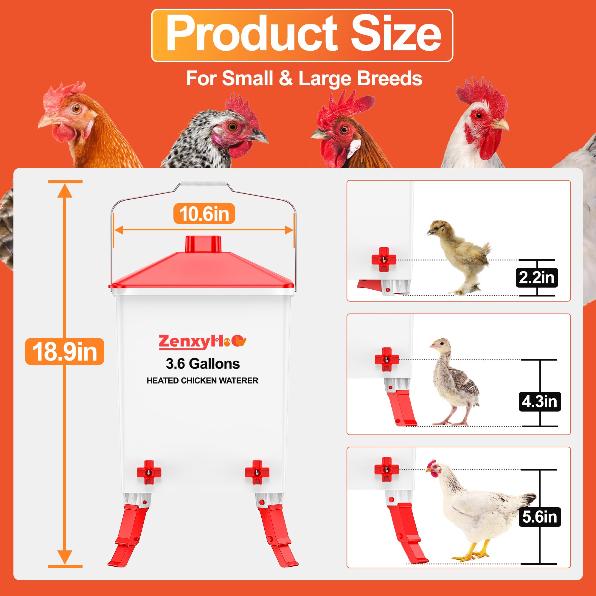 ZenxyHoC anti-roost cone helps keep water clean and accessible.