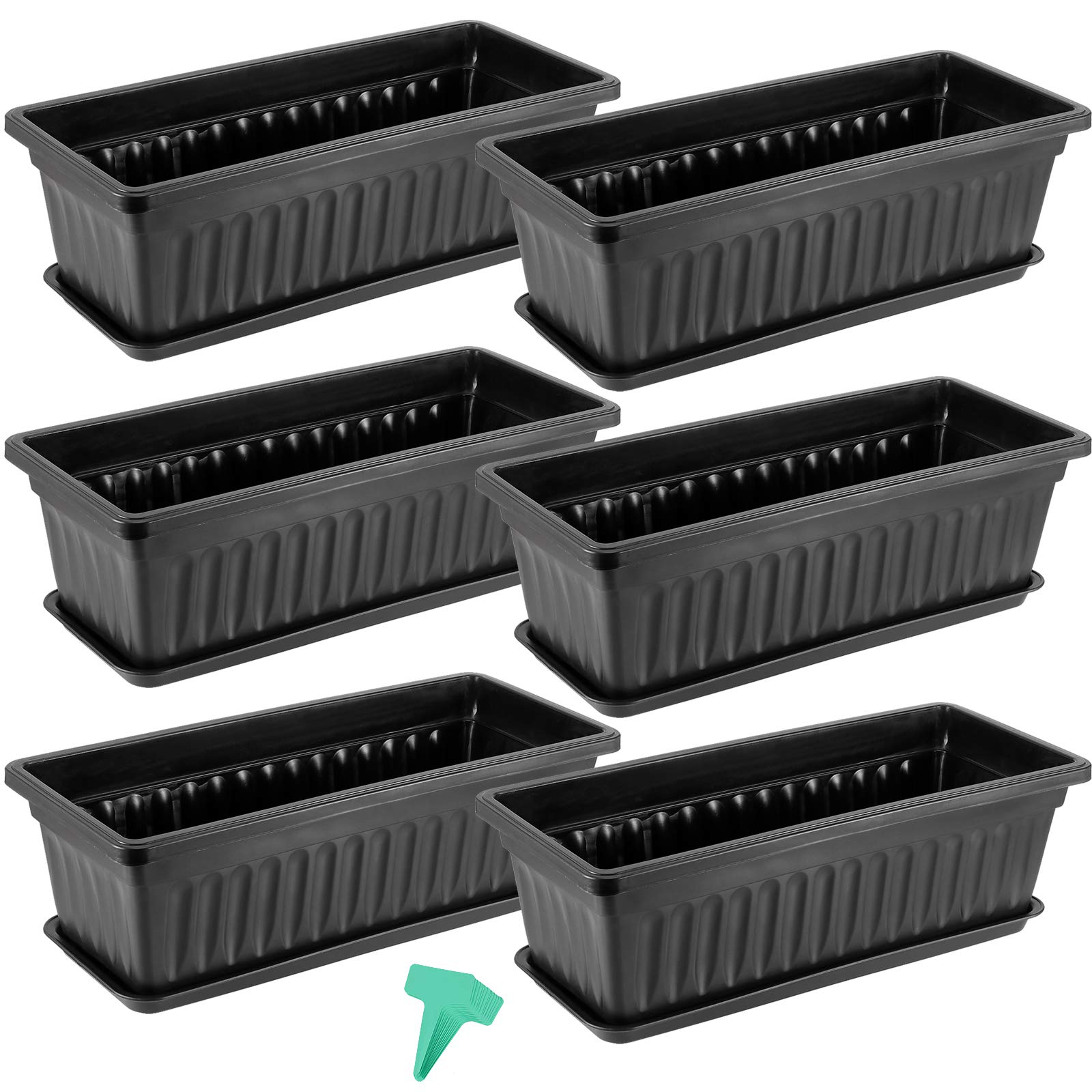 ZEONHAK 6-pack window boxes on a sunny windowsill enable vibrant, easy indoor planting.