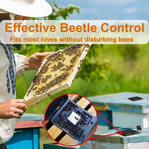 Rectangular beetle trap measures 3 by 3.5 inches for hive compatibility.