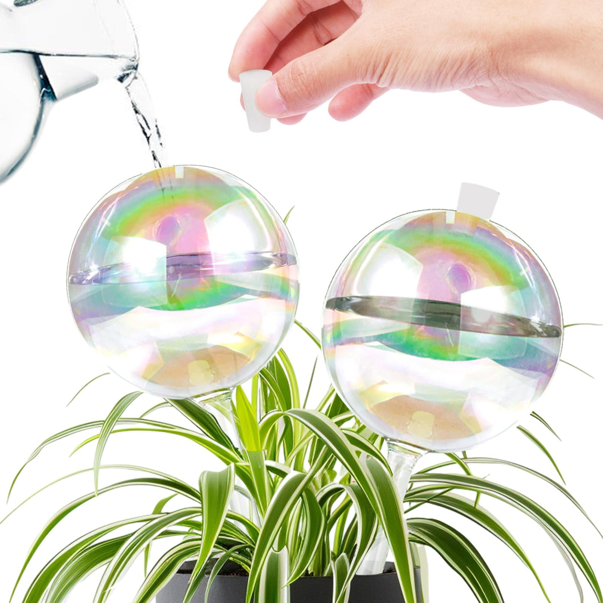 ZephyrBloom 13oz globe shows large capacity for steady plant hydration at home.