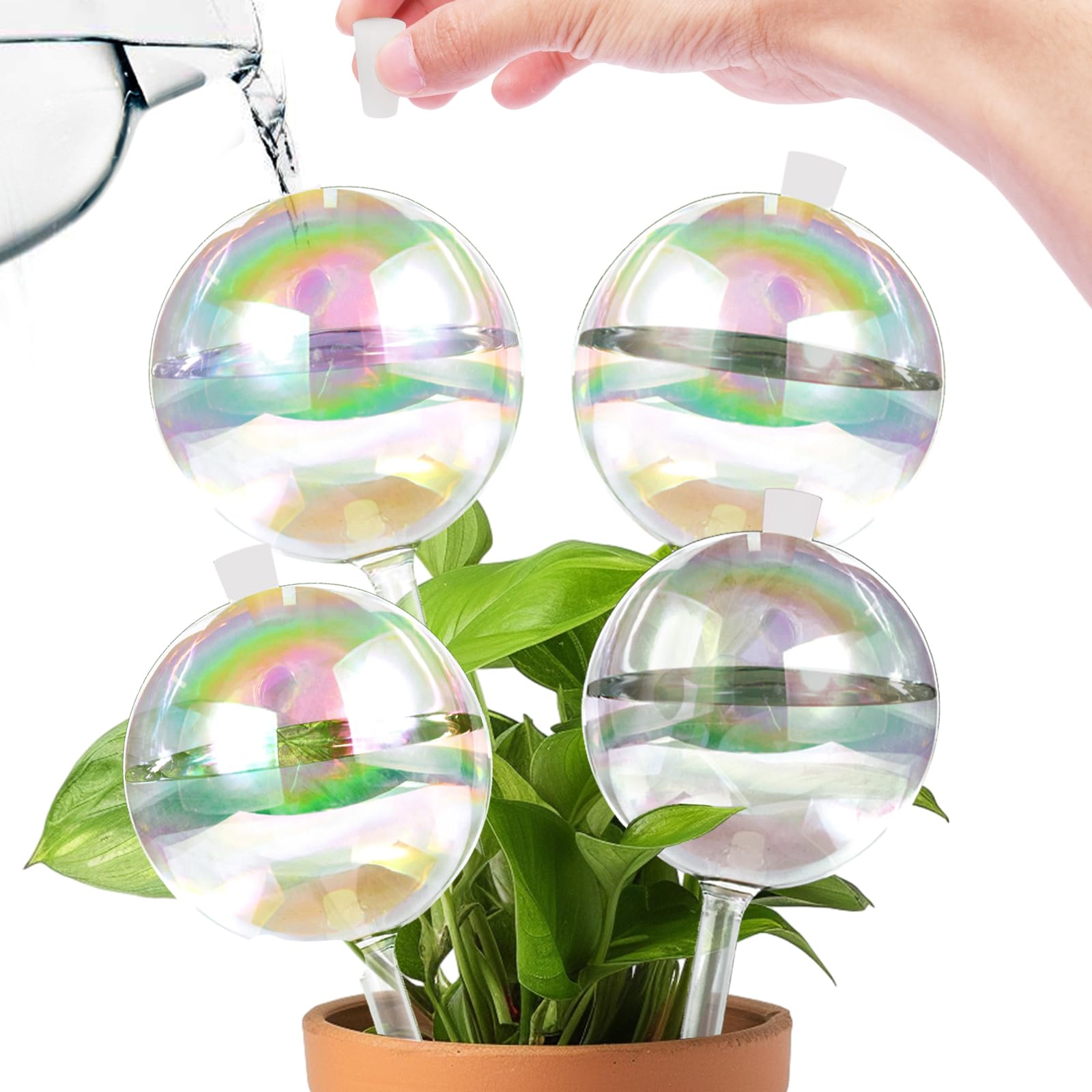 ZephyrBloom 13oz glass watering globe in full view providing steady hydration for indoor plants
