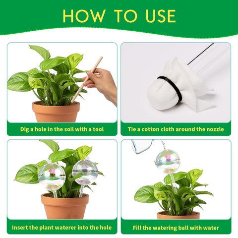 ZephyrBloom ideal for busy plant lovers, maintaining hydration while you work or travel.