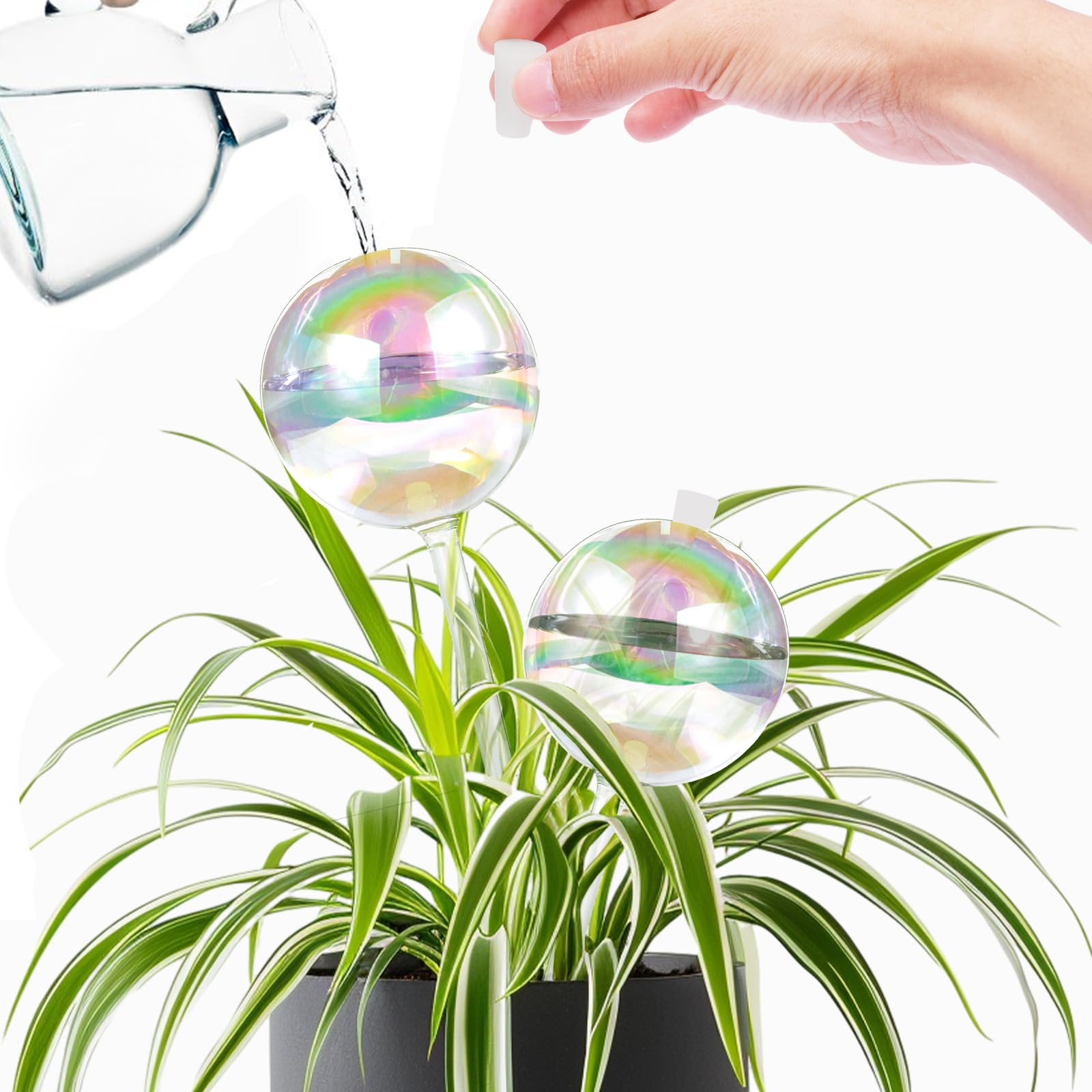 ZephyrBloom care tips emphasize safe handling and light guidance for optimal use.