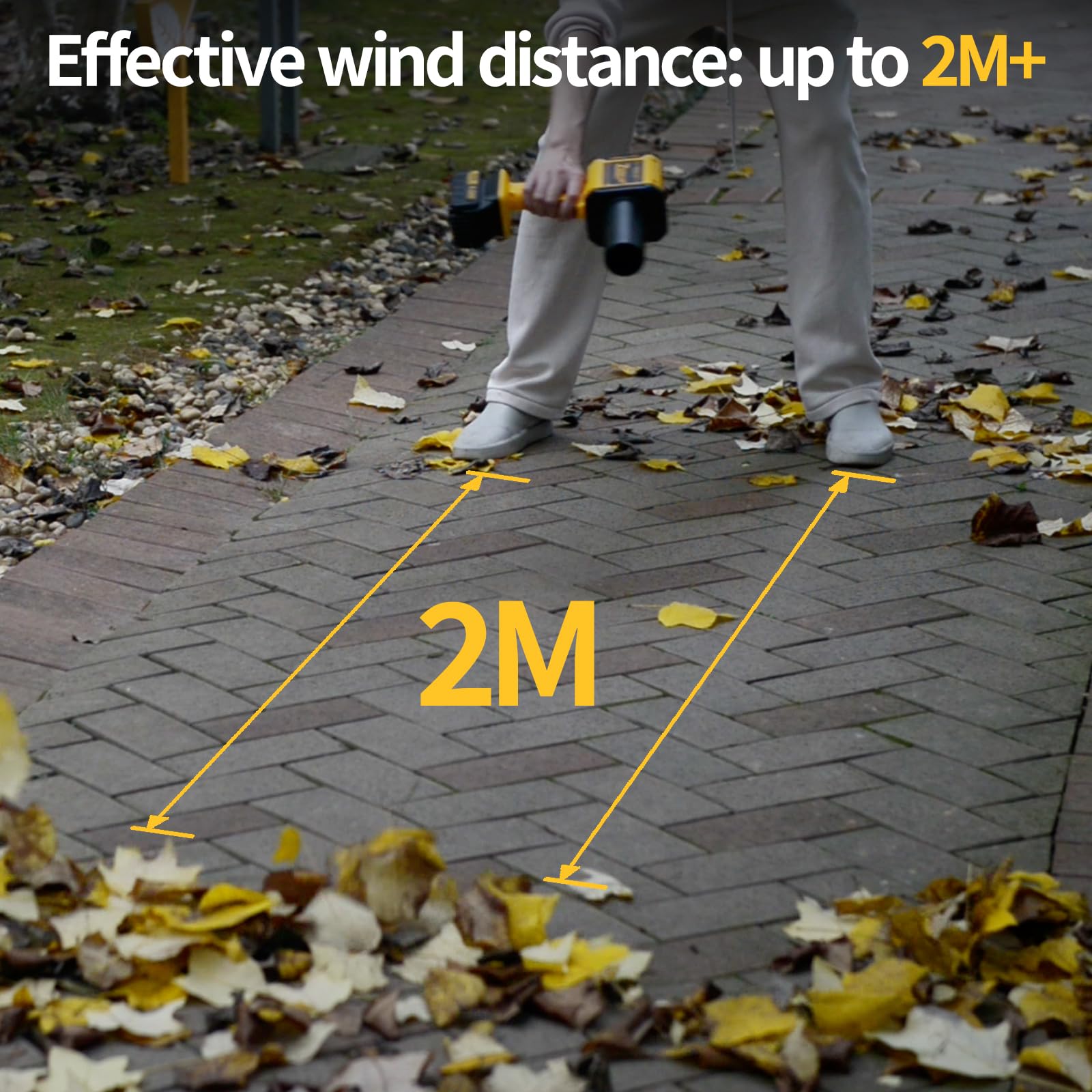12-month warranty and local U.S. support for peace of mind.
