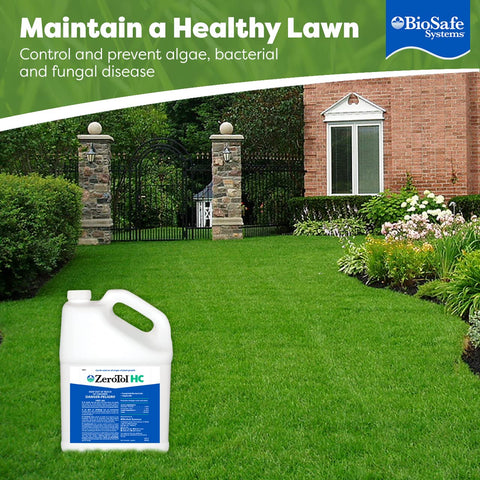 ZeroTol HC used in a hydroponics setup to keep waterlines cleaner longer.