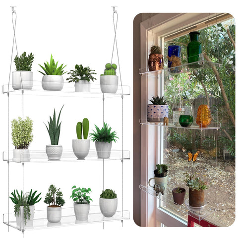 ZerzSemp 3-tier hanging shelves displaying window herbs for light access
