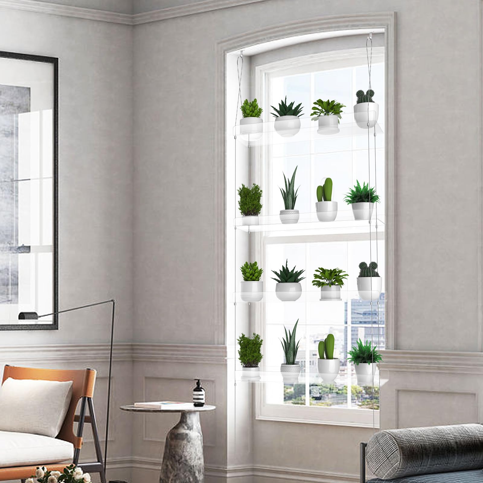 ZerzSemp acrylic window wall plant display organized for herbs and seedlings