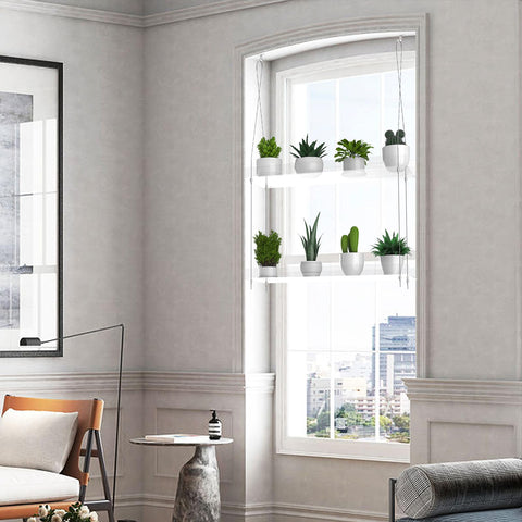 ZerzSemp clear acrylic close-up highlights transparent material that lets sunlight reach plant roots.