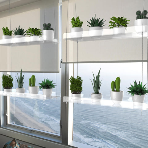 ZerzSemp kitchen window garden uses the sturdy clear shelf for herbs and seedlings.