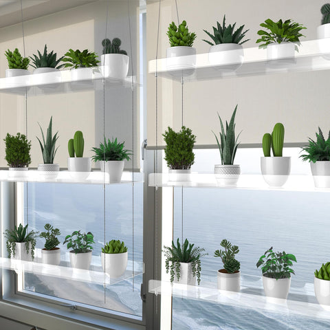 ZerzSemp non-yellowing acrylic 3-tier keeps plants bright and organized