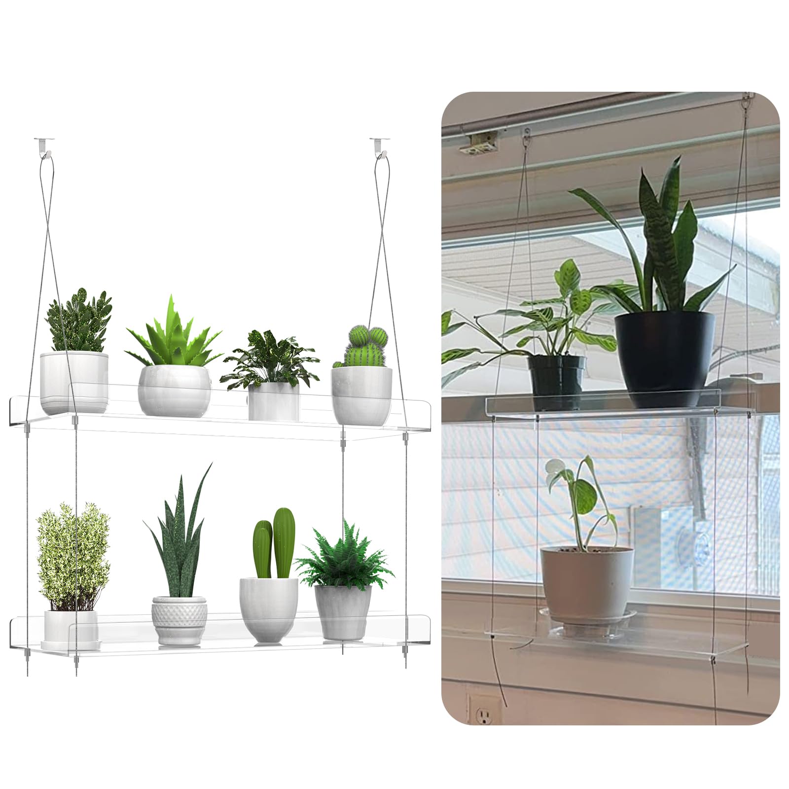 ZerzSemp thoughtful gift display showcases plants and crafts with minimalist style.