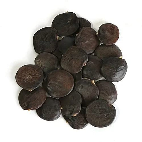 ZEshops Wisteria Floribunda seeds provide cut flowers with lavender hues.