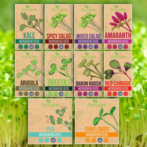 ZESTIGREENS broccoli microgreens seeds for quick indoor sprouts