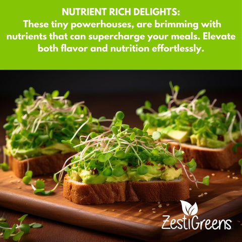 ZESTIGREENS kale microgreens seeds for nutrient-dense greens