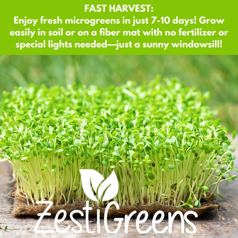 ZESTIGREENS salad mix microgreens seeds for versatile home salads