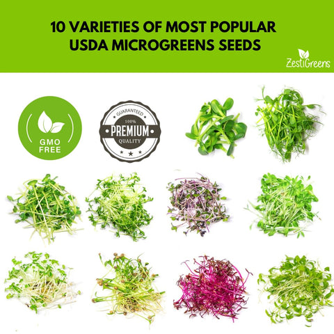 ZESTIGREENS sunflower microgreens seeds for bright, nutrient-rich harvest