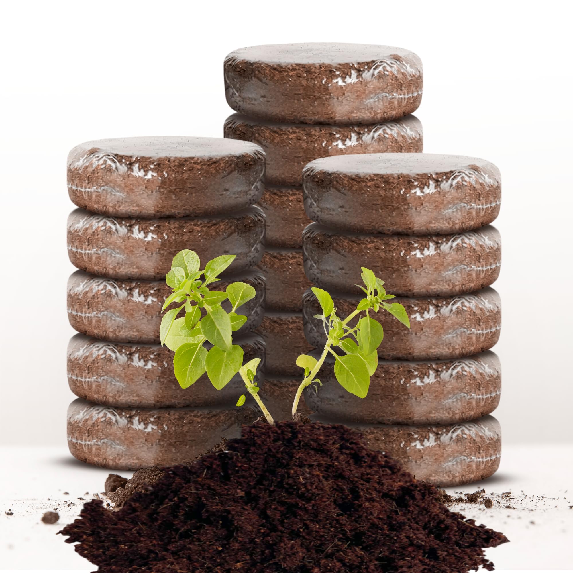 ZESTIGREENS coco coir grow discs packaging showing quick setup