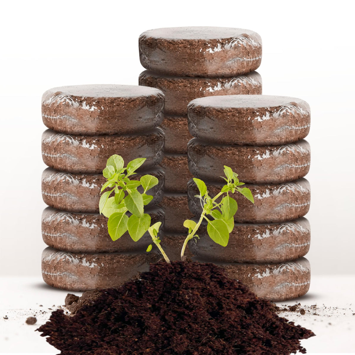 ZESTIGREENS coco coir grow discs packaging showing quick setup