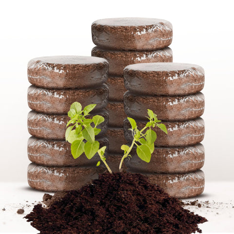 ZESTIGREENS coco coir grow discs packaging showing quick setup