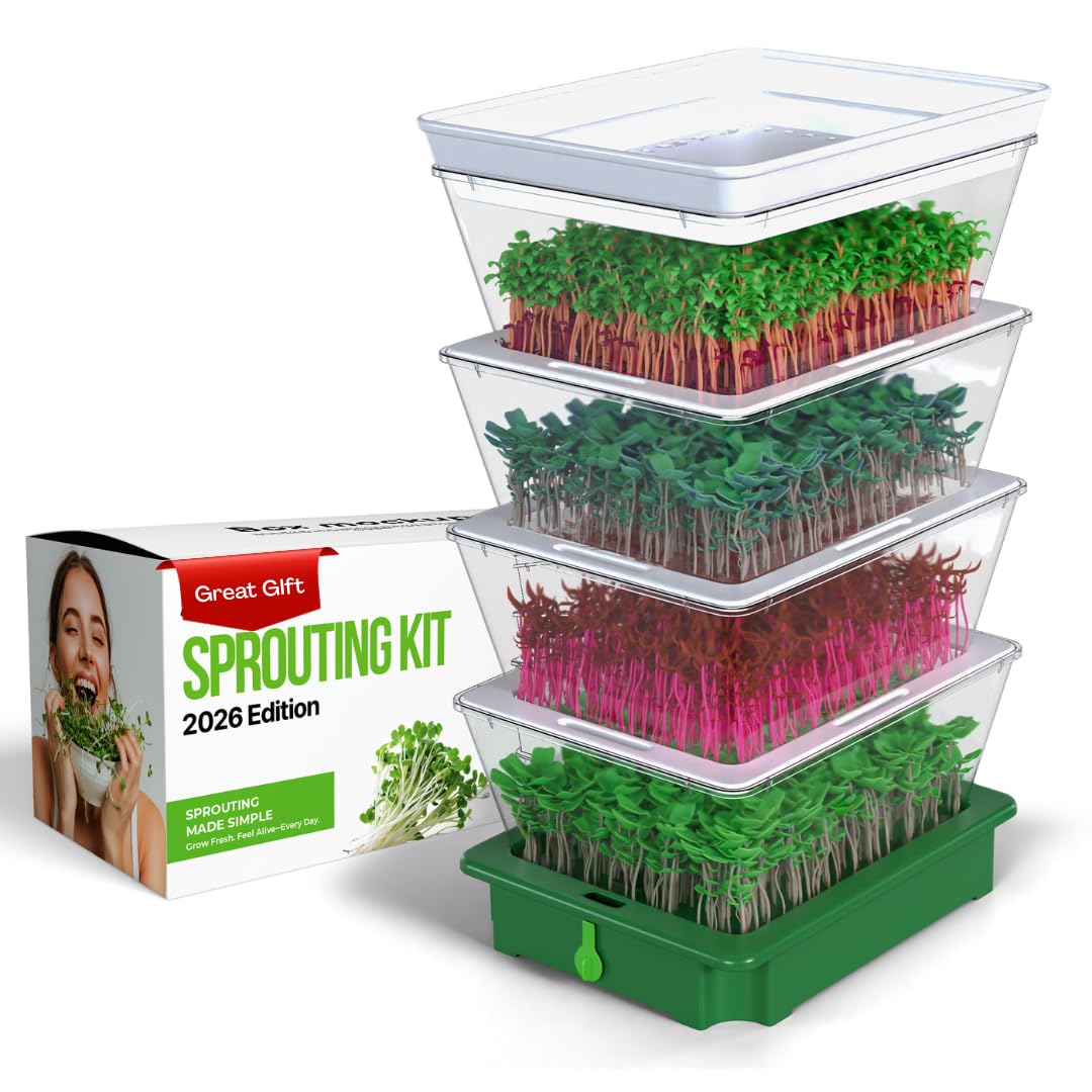 ZESTIGREENS 4-tier sprouter top view with four trays for compact soil-free sprouts.