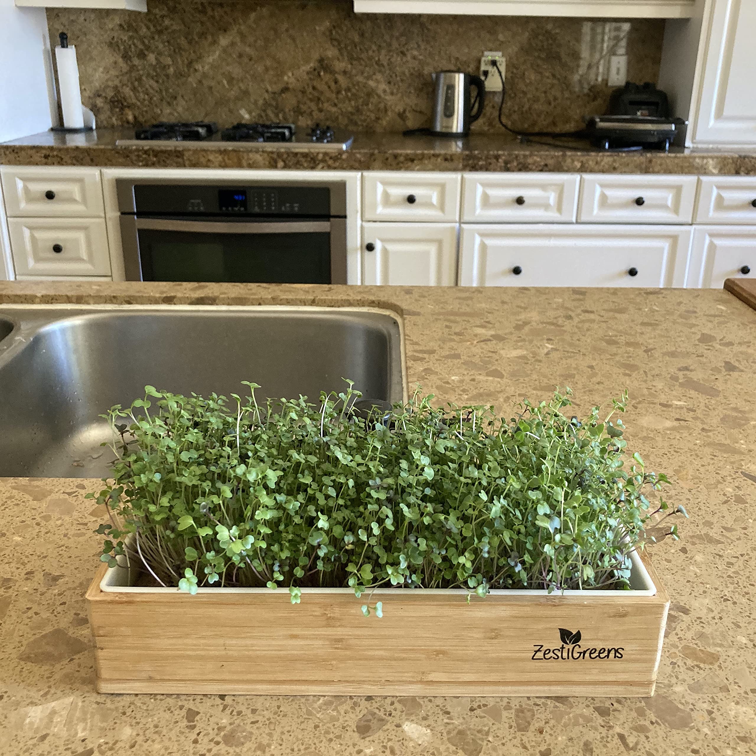 ZestIGreens arugula seed packet for peppery microgreens