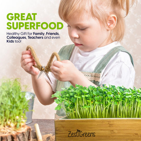ZESTIGREENS blackout lid helps control light for uniform growth
