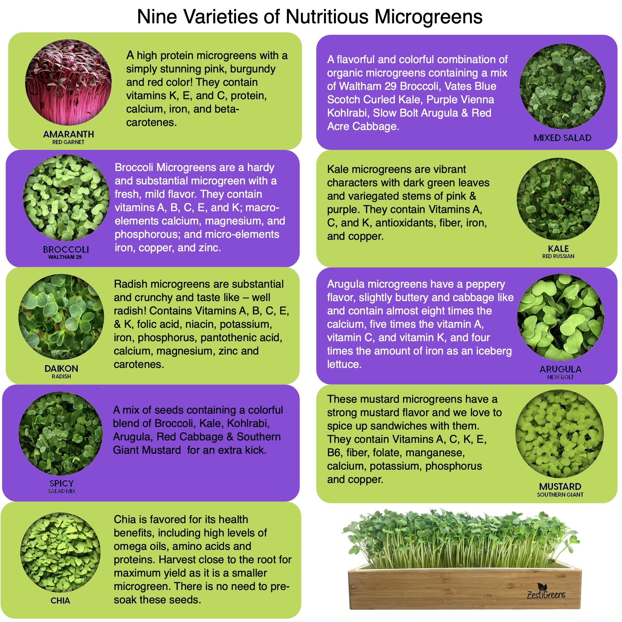 ZestIGreens broccoli seed packet for a crisp microgreens harvest