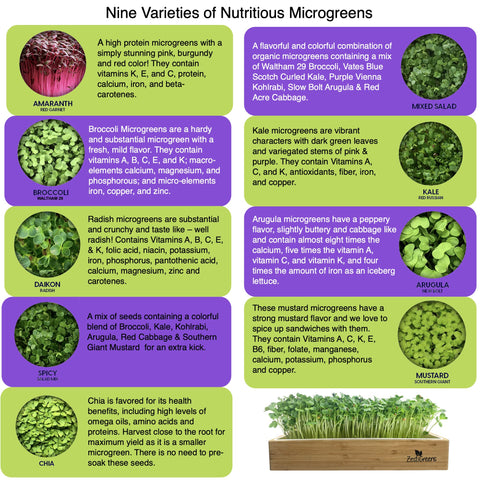 ZestIGreens broccoli seed packet for a crisp microgreens harvest