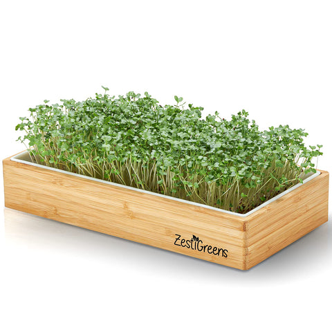 ZestIGreens chia seed packet for nutrient-dense microgreens