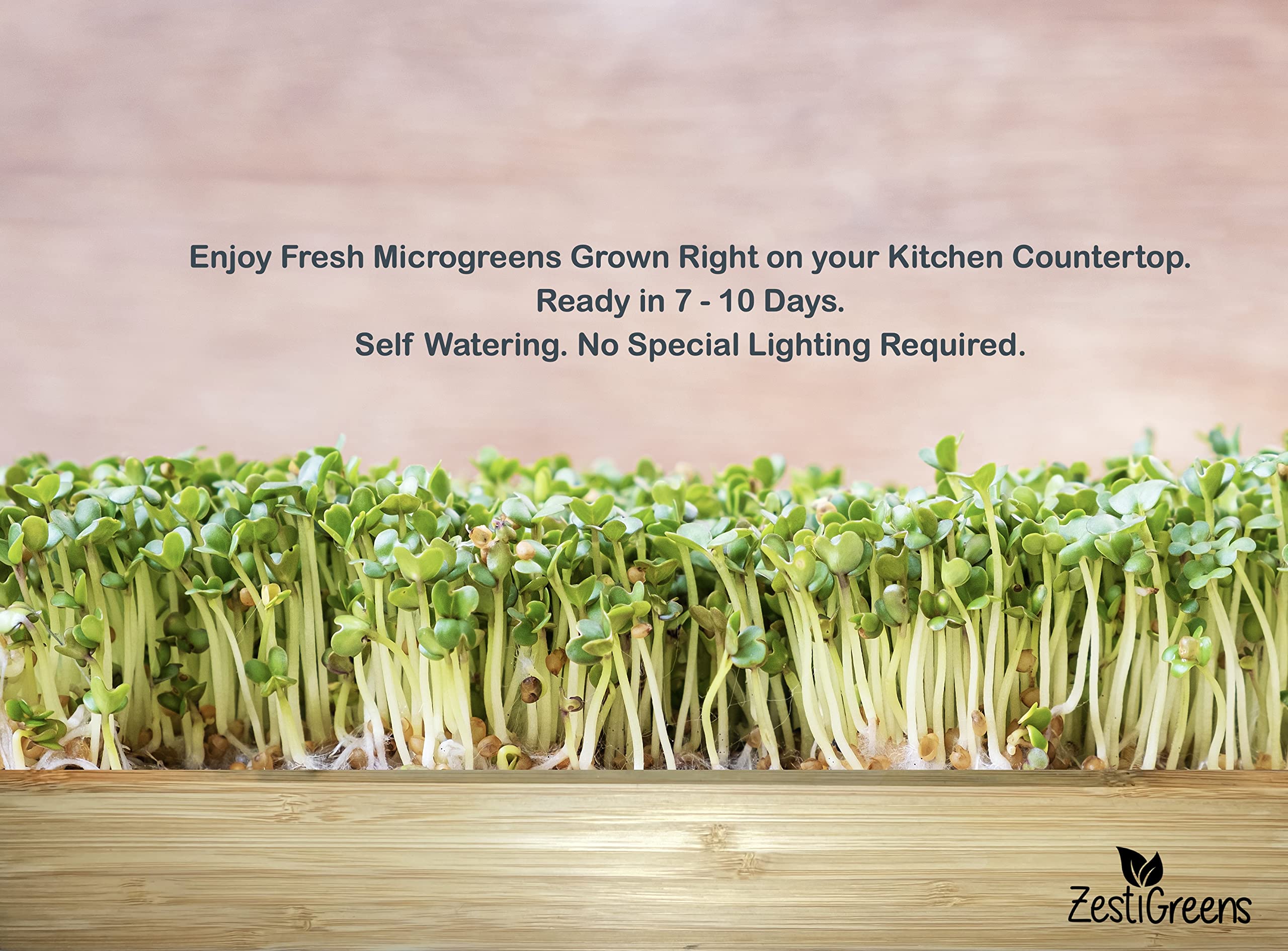 ZestIGreens daikon radish seed packet for quick crops