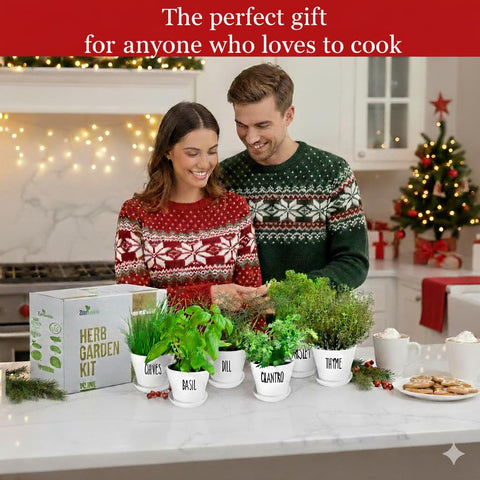 ZESTIGREENS deluxe kit showing 8 pots and saucers for neat herb growth