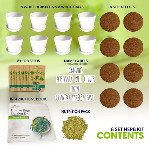 ZESTIGREENS kit with expanding soil discs for effortless planting