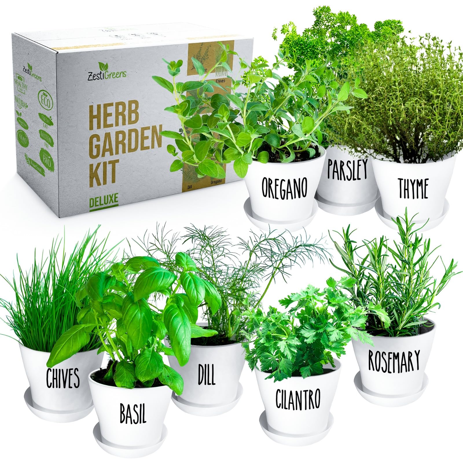 ZESTIGREENS gift-ready packaging for herb lovers