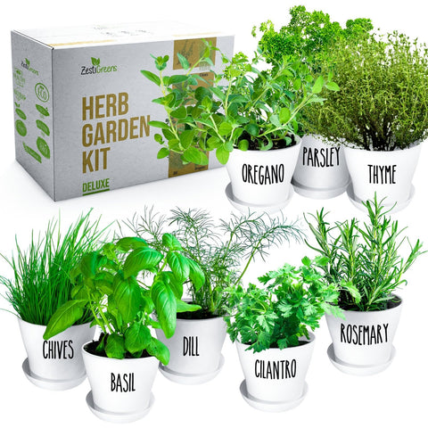 ZESTIGREENS gift-ready packaging for herb lovers