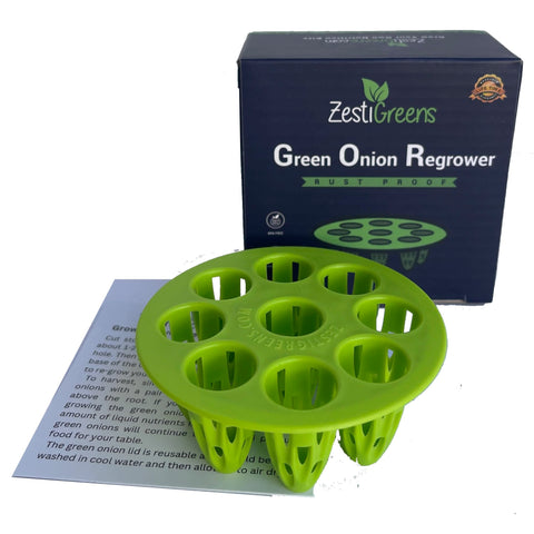 ZESTIGREENS Easiest Green Onion Regrower lid in action enabling effortless at-home regrowth