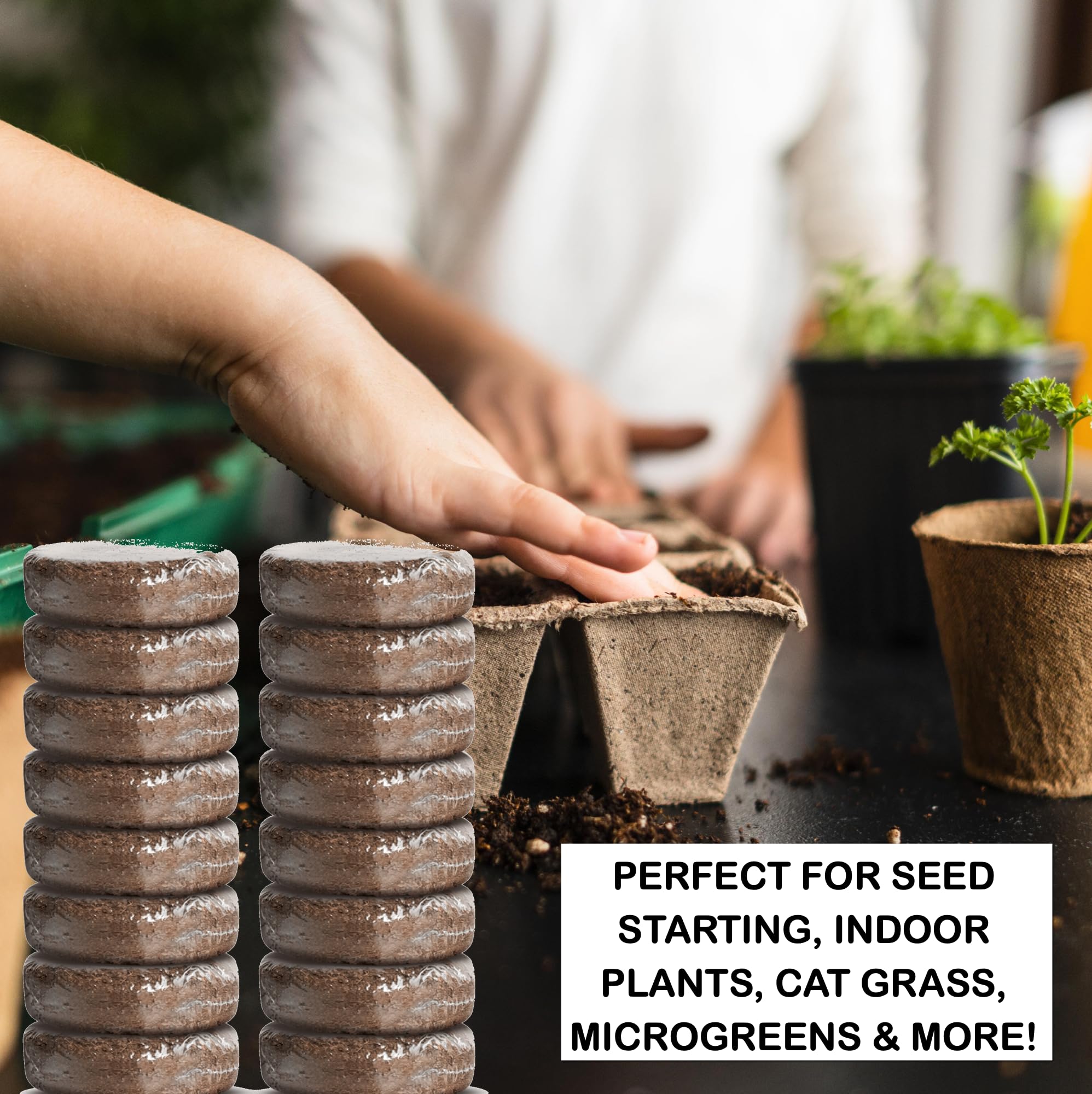 ZESTIGREENS eco-friendly coconut coir with balanced pH for plants