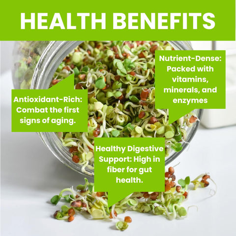 ZestiGreens food-grade tubes with metal lid seal freshness.