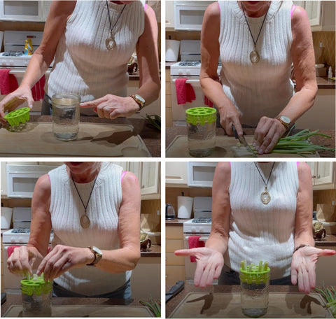 ZESTIGREENS green onion regrower beginners use promotes easy start for home gardeners