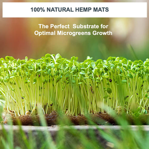 ZestiGreens hemp mat in water-wicking action keeps seeds hydrated.