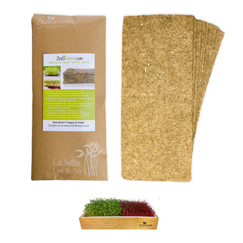ZestiGreens hemp mat unrolled on a tray supports steady germination and easy setup.