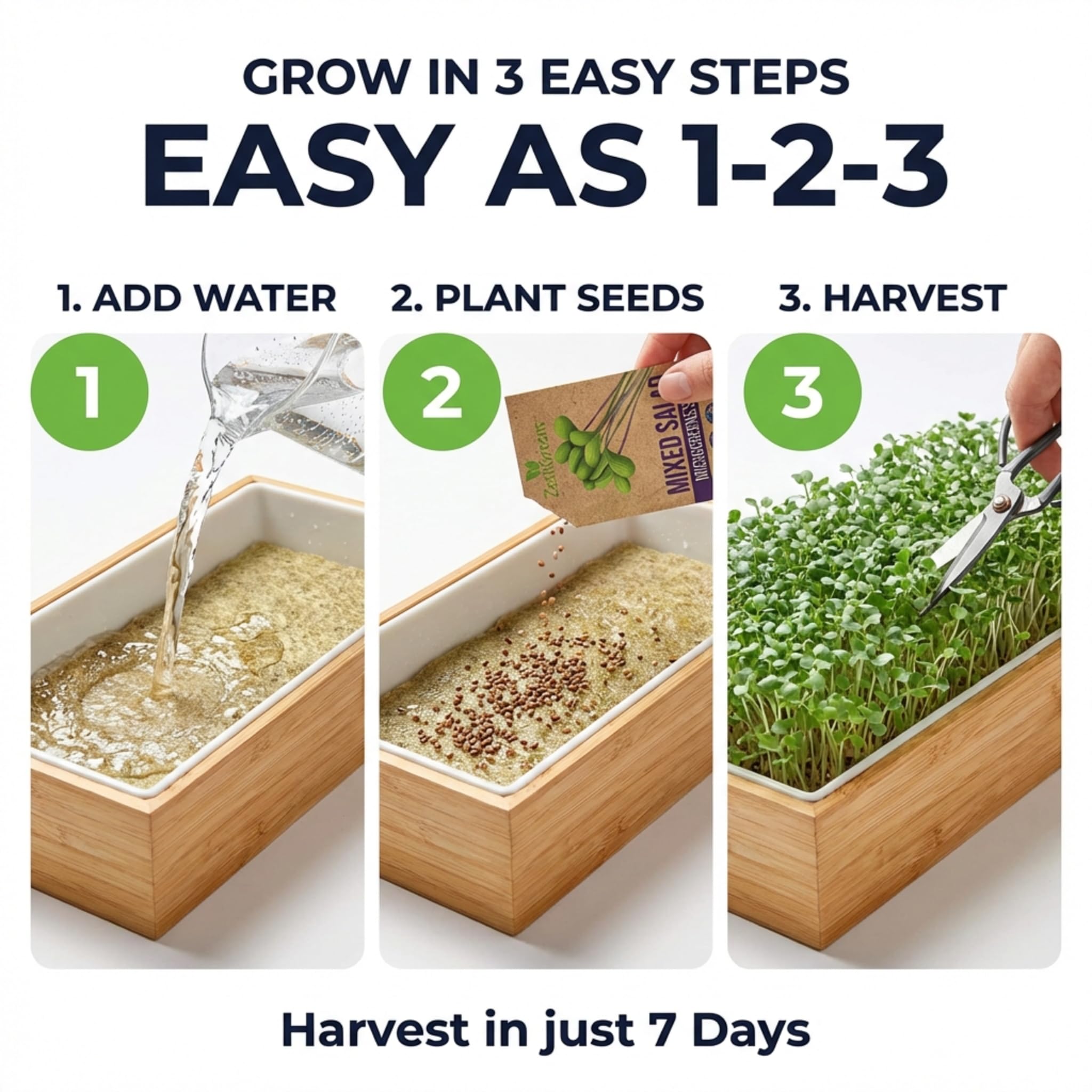 ZESTIGREENS hydroponic insert enables soil-free microgreens harvest