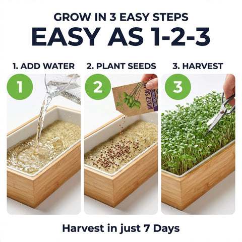 ZESTIGREENS hydroponic insert enables soil-free microgreens harvest