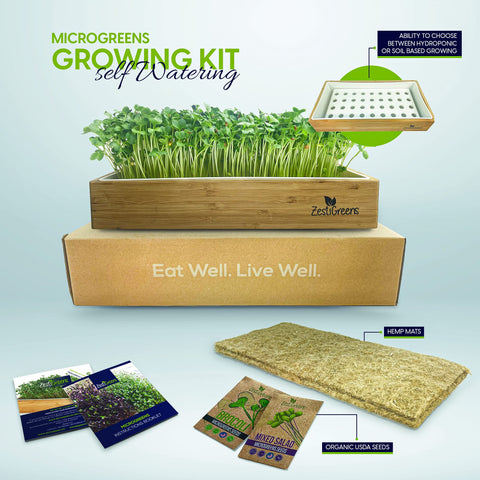 ZESTIGREENS illustrated grow guide supports beginner gardeners
