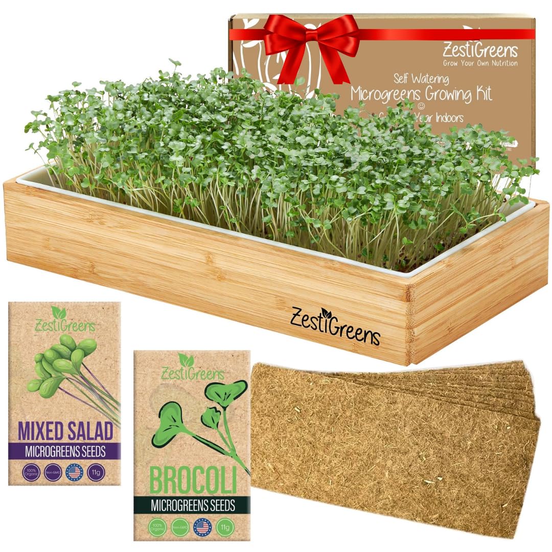 ZESTIGREENS kit shown on kitchen counter for weekly harvests