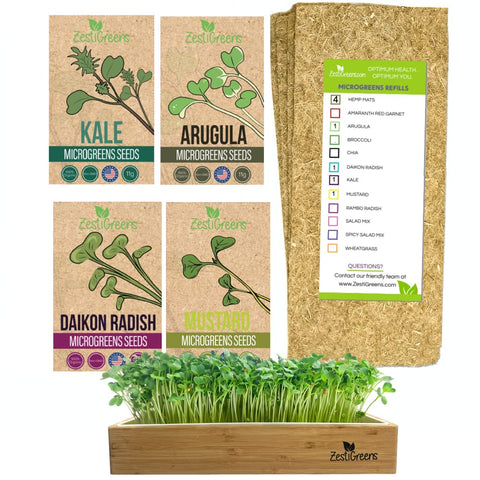Zestigreens kale microgreens seeds for vibrant harvests and nutrient-rich greens