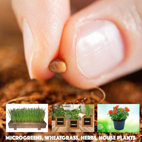 ZESTIGREENS multipurpose coco coir grow medium for herbs and microgreens