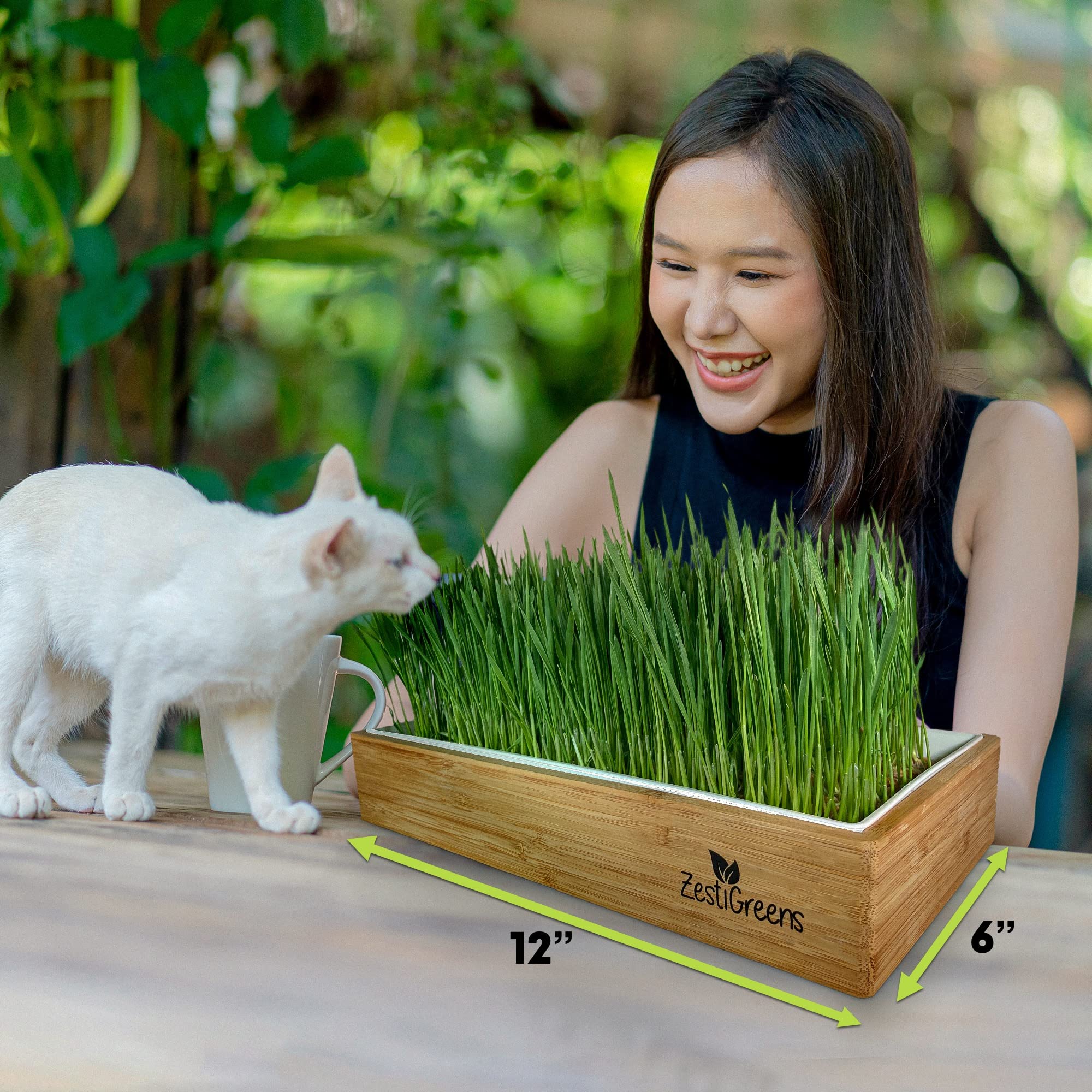 ZESTIGREENS organic seeds germinate quickly to yield fresh cat grass.