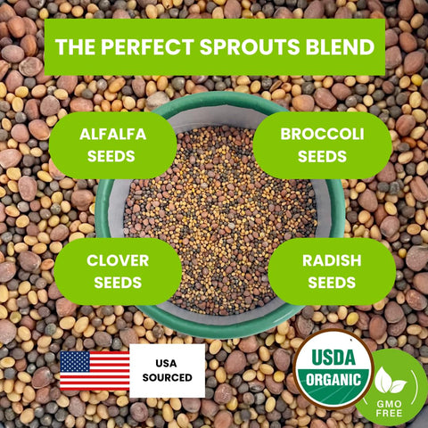 ZestiGreens 5-day sprouts process demonstrates quick home sprouting.