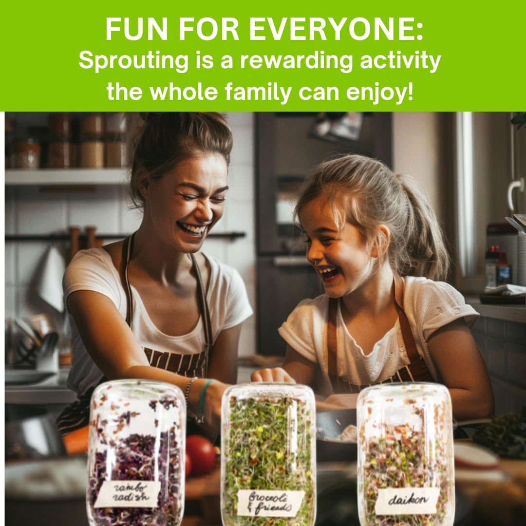 ZestiGreens ready sprouts in a bowl elevate salads and breakfasts